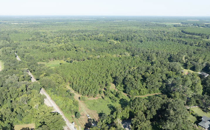 Pictures of Land property located at 17015 Arlington Highway, Arlington, GA 39813 for sales - image #1