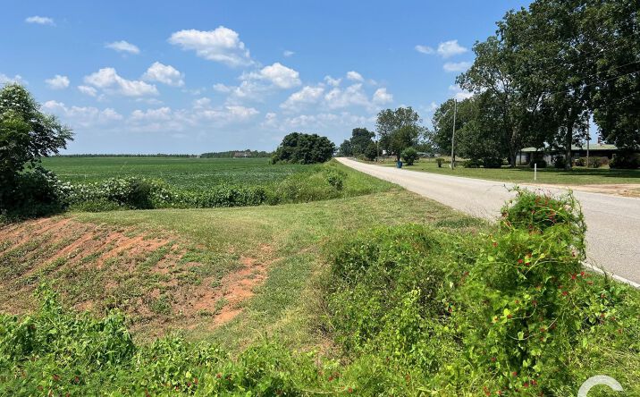 Pictures of Land property located at 1494 Dogwood Rd, Brewton, AL 36426 for sales - image #1