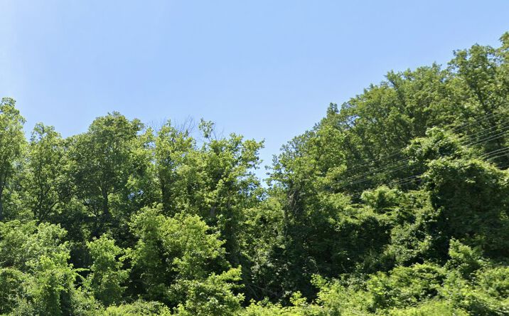 Pictures of Land property located at Gallahan Rd, Clinton, MD 20735 for sales - image #1
