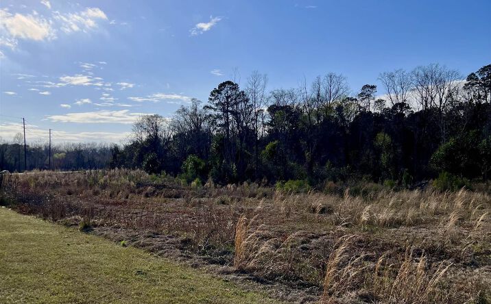 0 Pine Ridge Road, Eastman, GA 31023 | Crexi.com