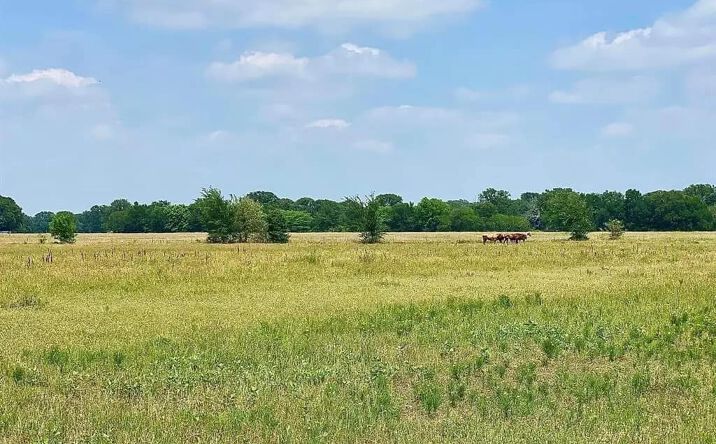 Pictures of Land property located at TBD S HWY 34 FM, Scurry, TX 75158 for sales - image #1