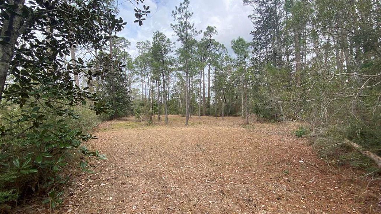 12101 Cedar Lake Rd, Biloxi, MS 39532