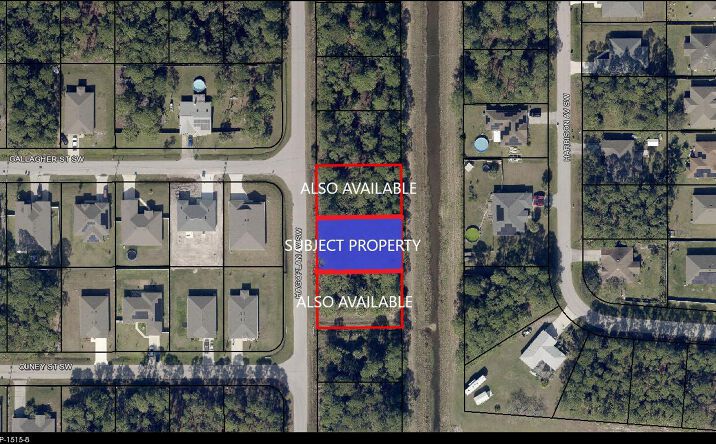 Pictures of Land property located at 2585 Hagoplan Avenue SW, Palm Bay, FL 32908 for sales - image #1