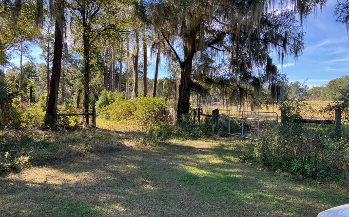 Pictures of Land property located at 2700 SE Maricamp Rd, Ocala, FL 34471 for sales - image #1