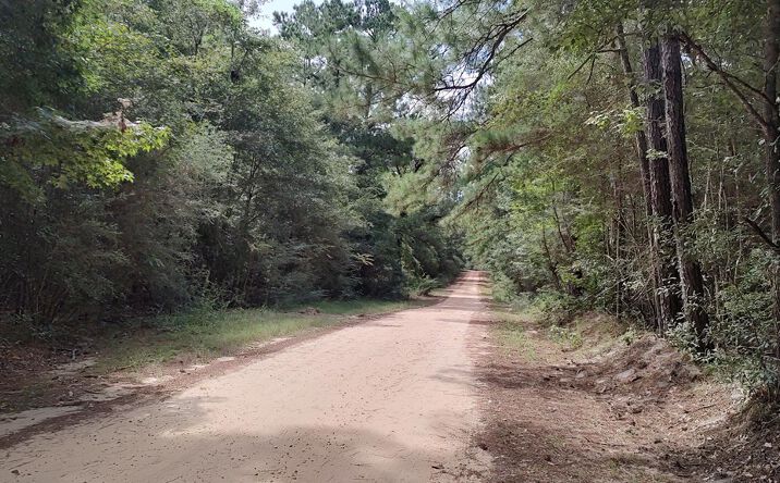 Pictures of Land property located at NHN Lot 132 Stevens Drive, Lumberton, MS 39455 for sales - image #1