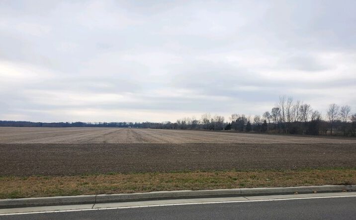 Pictures of Land property located at SW Rt 53 and W Wilmington Peotone Rd, Wilmington, IL 60481 for sales - image #1