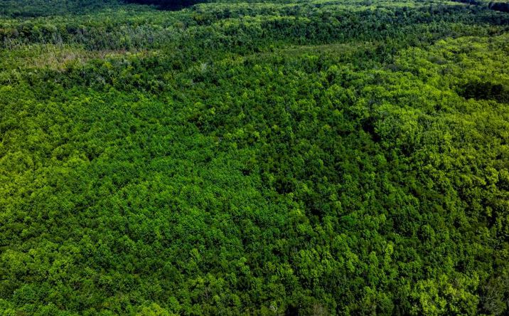 Pictures of Land property located at 5250 & 5150 Tinker Dr. & Hwy 41, Macon, GA 31206 for sales - image #1