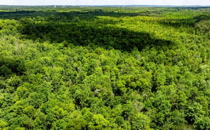 Pictures of Land property located at 5250 & 5150 Tinker Dr. & Hwy 41, Macon, GA 31206 for sales - image #1