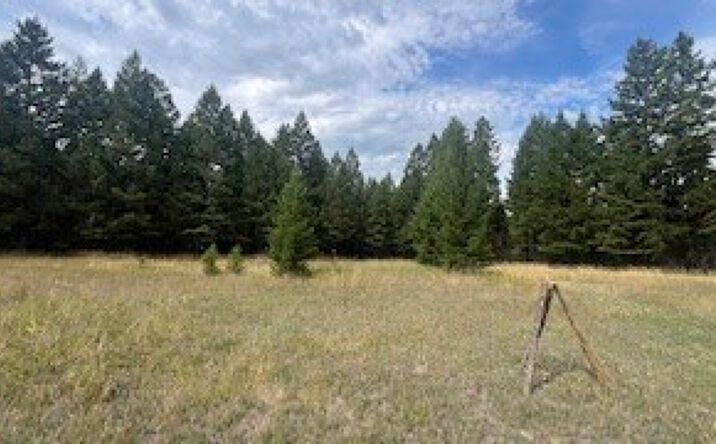 Pictures of Land property located at 1615 Truman Creek Road, Kila, MT 59920 for sales - image #1