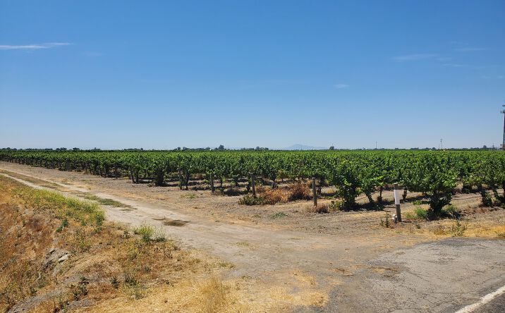 Pictures of Land property located at 10698 Barber Rd, Thornton, CA 95686 for sales - image #1