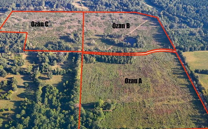 Pictures of Land property located at Hempstead 341 Rd, Ozan, AR 71855 for sales - image #1