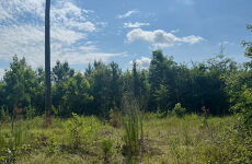 20696515