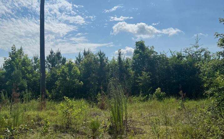 Pictures of Land property located at Boggy Bayou 142, Pine Bluff, AR 71603 for sales - image #1