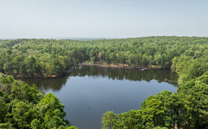 Pictures of Land property located at 14524 Lawson Rd, Little Rock, AR 72210 for sales - image #1