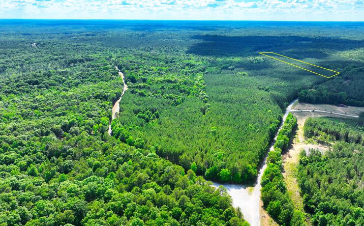 Pictures of Land property located at Lot 2 Cave Springs Road, Henderson, TN 38340 for sales - image #1