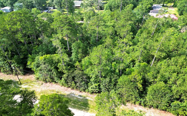 Pictures of Land property located at Lot 8 Sir Ewaine Drive, Woodville, TX 75979 for sales - image #1