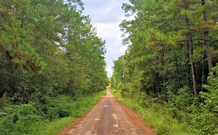 Pictures of Land property located at Lot 1 Friar Tuck North Drive, Woodville, TX 75979 for sales - image #1