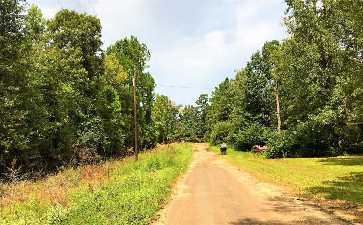 Pictures of Land property located at Lot 1-2 Friar Tuck North Drive, Woodville, TX 75979 for sales - image #1