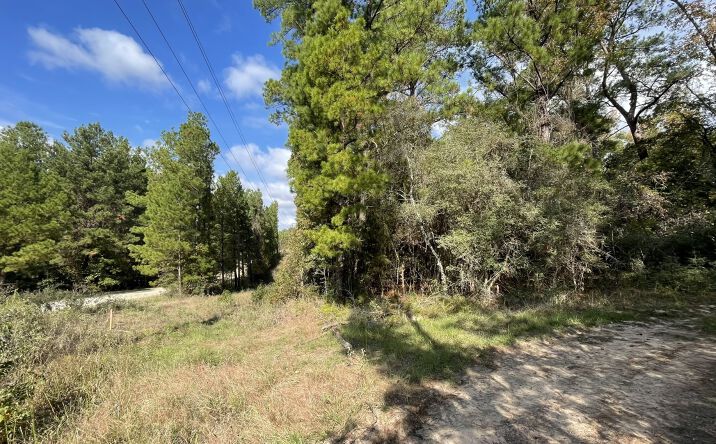 Pictures of Land property located at 375 Rock Creek Dr, Trinity, TX 75862 for sales - image #1
