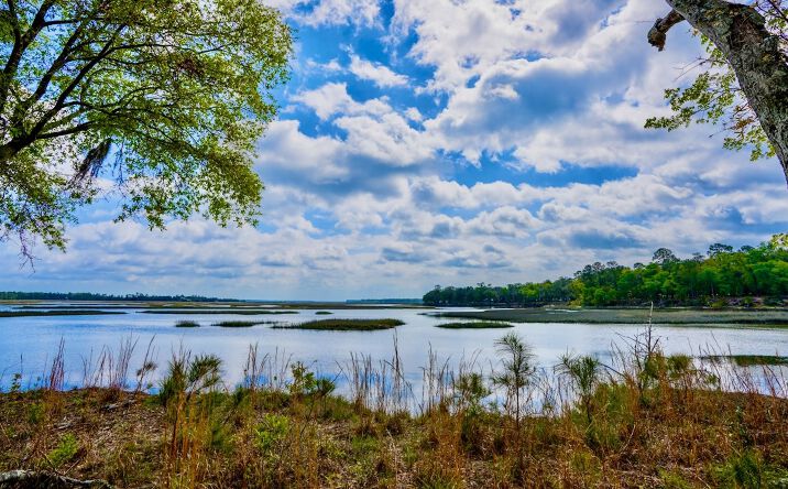 Pictures of Land property located at Simmons Bluff Rd, Woodbine, GA 31569 for sales - image #1