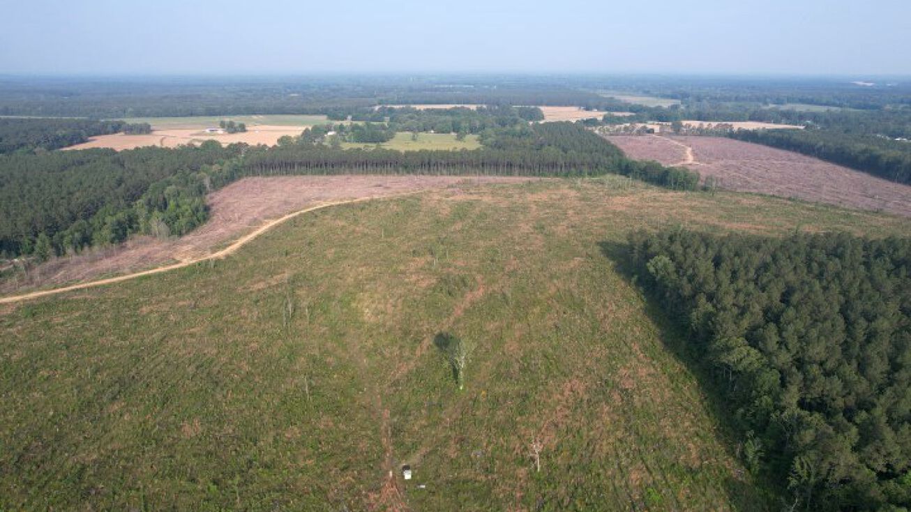 60.4 Acres in Rankin, Pelahatchie, MS 39145