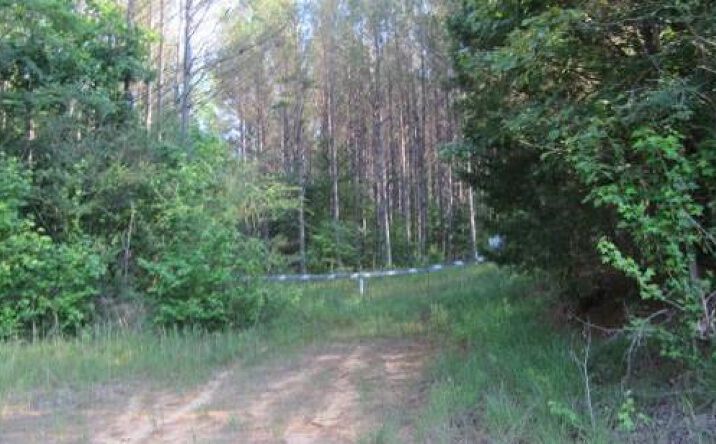 Pictures of Land property located at 131.30 Acres in Union County, Hickory Flat, MS 38633 for sales - image #1