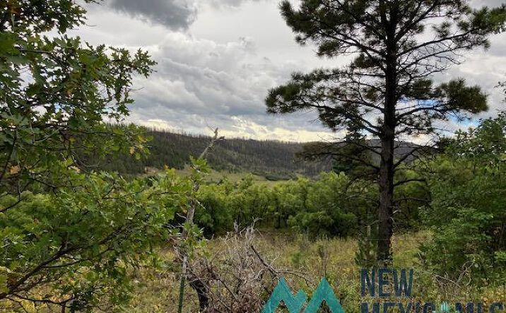 Pictures of Land property located at Tract 1 La Sierra Road, Holman, NM 87723 for sales - image #1