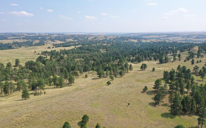 33 Pine Ridge Rd Agricultural Land for Sale in Webb City, MO | Crexi