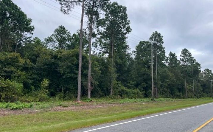 Pictures of Land property located at 414 DOC DARBYSHIRE RD, Moultrie, GA 31788 for sales - image #1