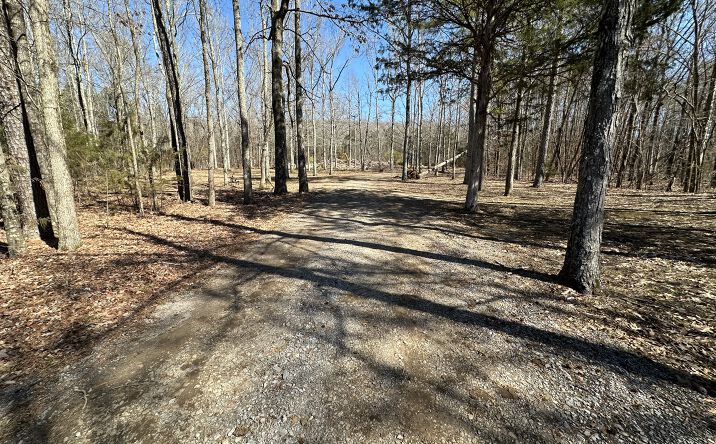 Pictures of Land property located at 10051 US-431, New Hope, AL 35760 for sales - image #1