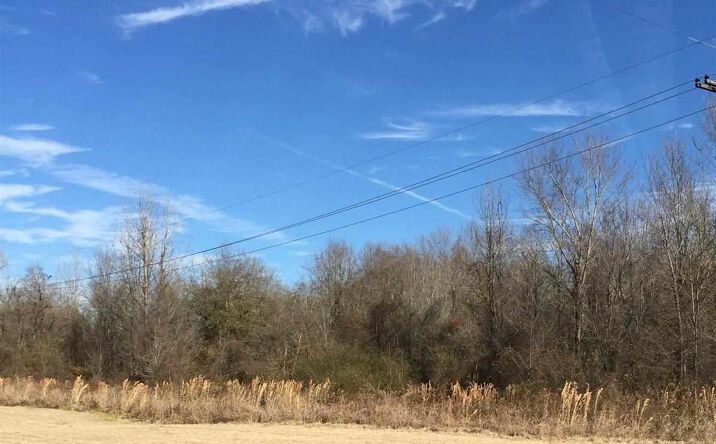 Pictures of Industrial property located at 00 HIGHWAY 165 BYPASS, Richwood, LA 71202 for sales - image #1