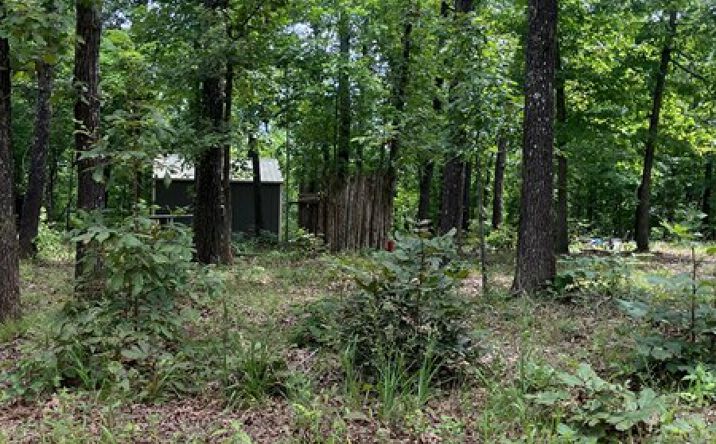 Pictures of Land property located at 1859 Springwood Rd, Highland, AR 72542 for sales - image #1