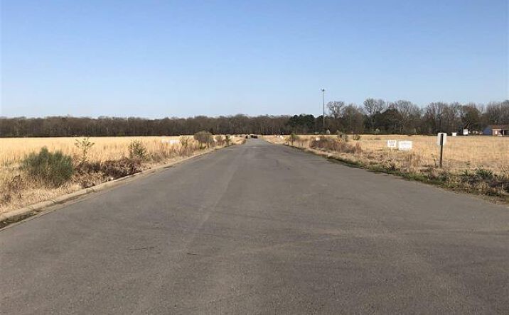 Pictures of Land property located at Lot 28 JF Boulevard, Lonoke, AR 72086 for sales - image #1