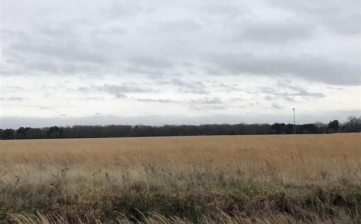 Pictures of Land property located at Lot 34 JF Boulevard, Lonoke, AR 72086 for sales - image #1