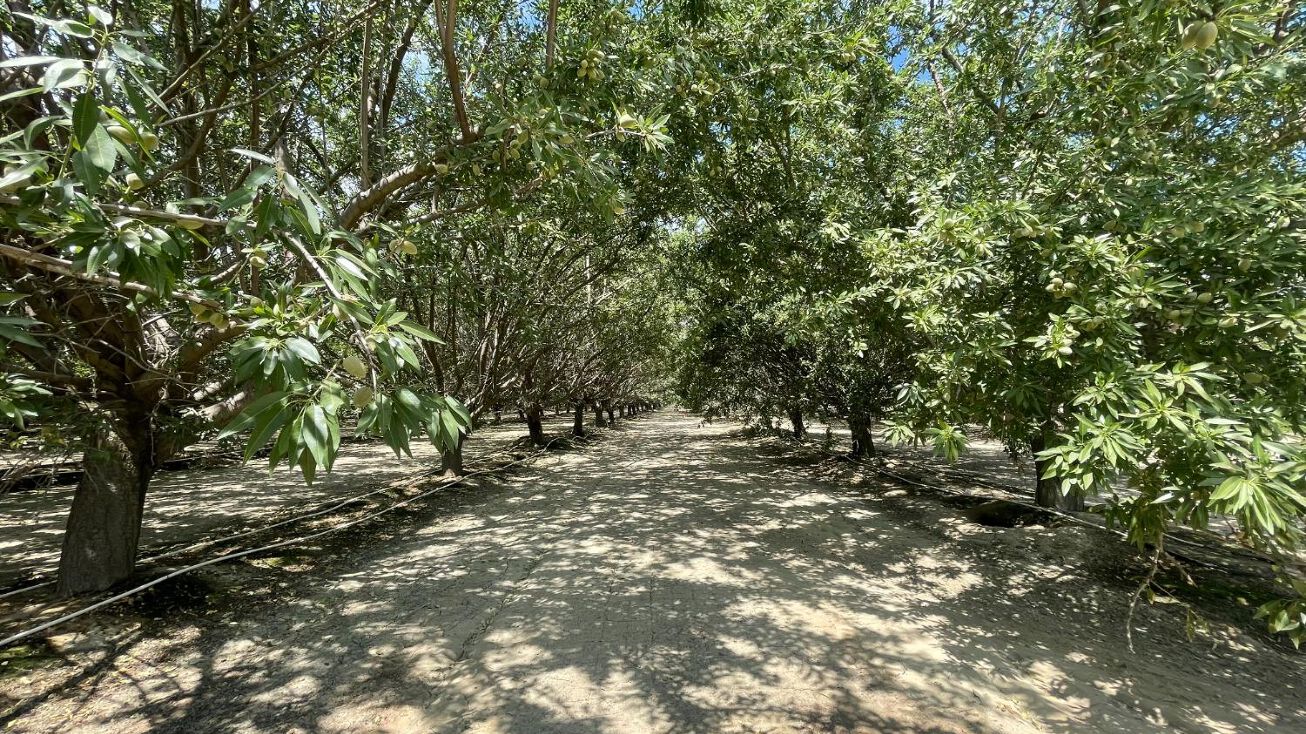 1 S Butte Ave, Kerman, CA 93630