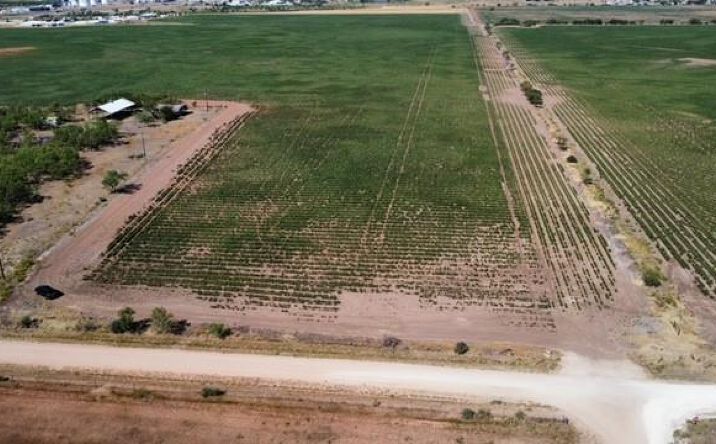 Pictures of Land property located at 398 Bumpergate Rd, Abilene, TX 79603 for sales - image #1