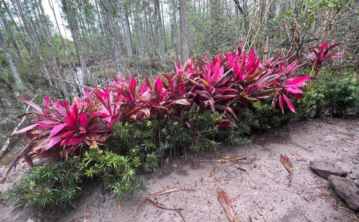 Pictures of Special Purpose property located at 0 N Commonwealth Ave, Other City - In The State Of Florida, FL 33868 for sales - image #1