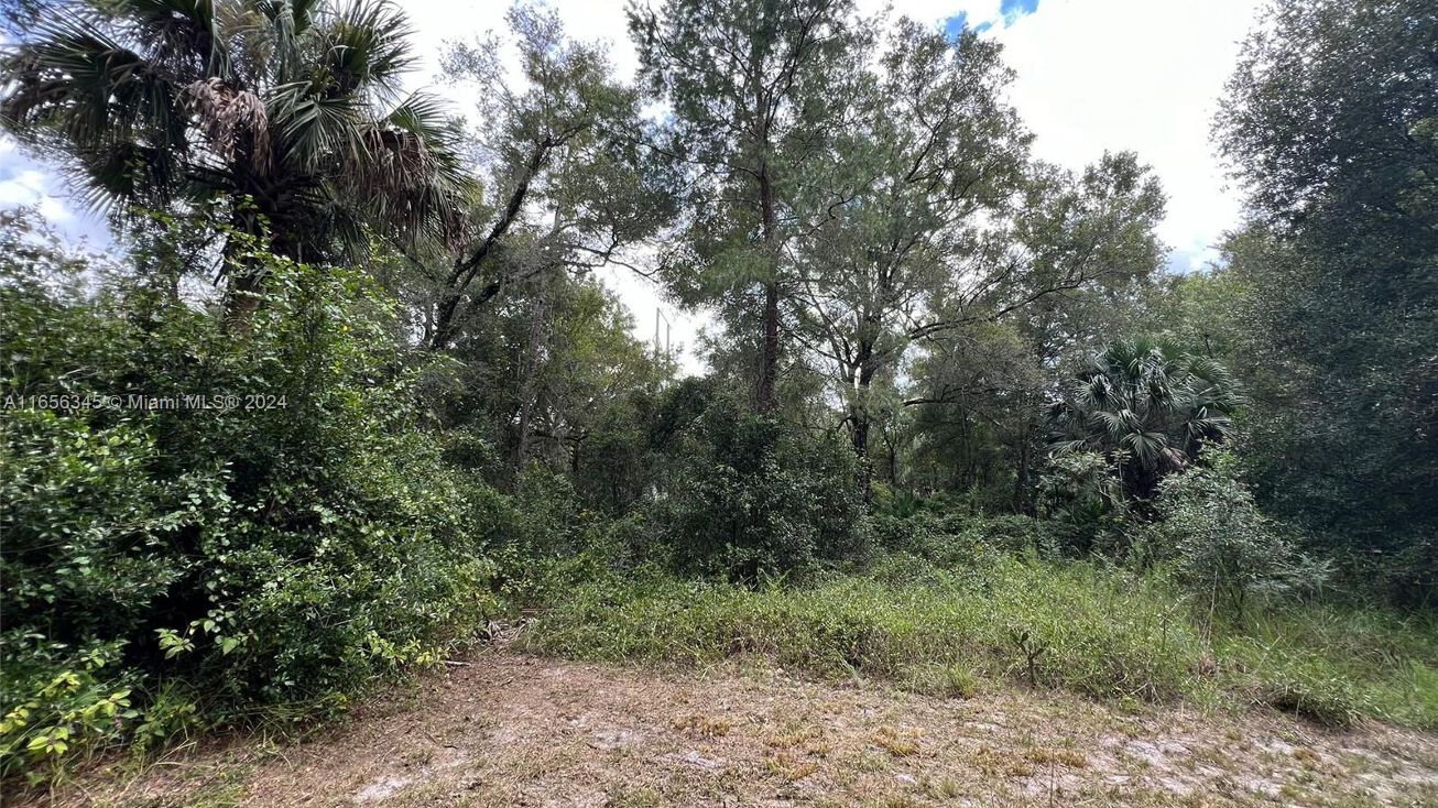 796 Blue Lake Ave, Deland, FL 32724