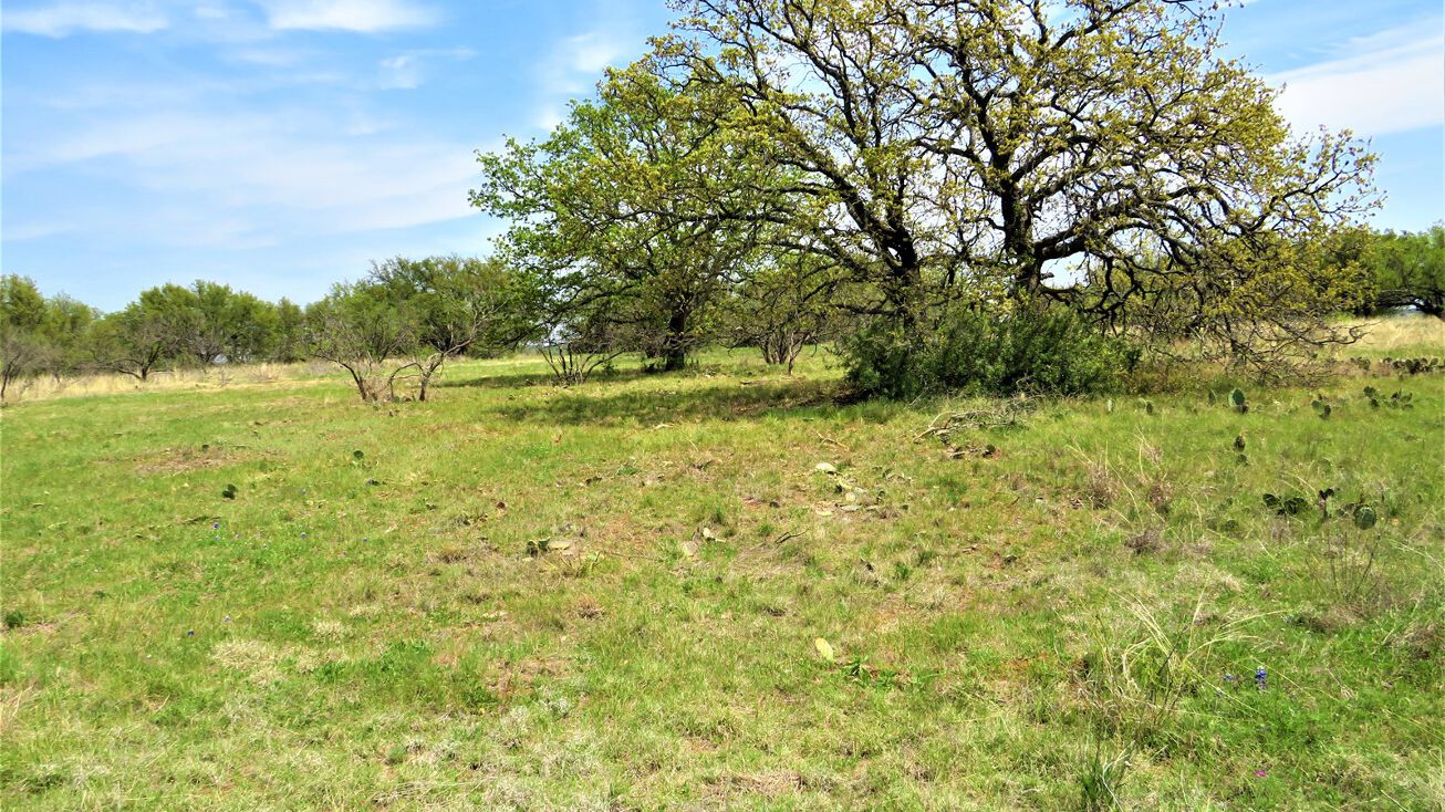 Tower Rd, Temple, TX 76501