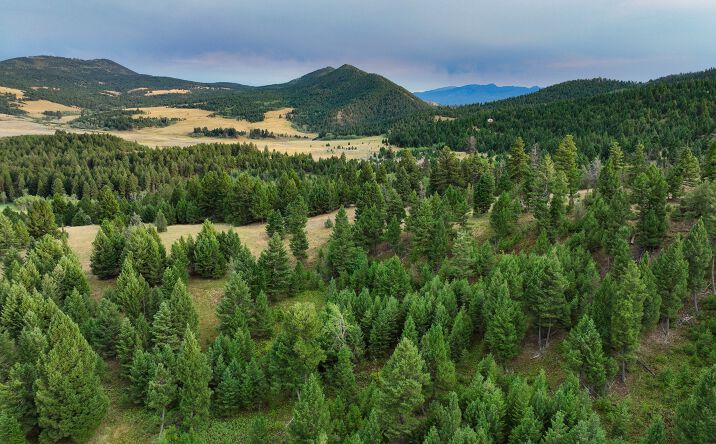 Pictures of Land property located at NHN Perry Ranch Drive, Drummond, MT 59832 for sales - image #1