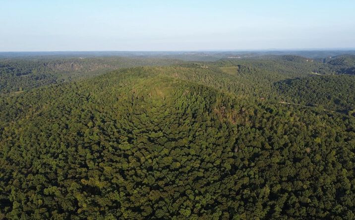 Pictures of Land property located at Hwy 790, Monticello, KY 42633 for sales - image #1