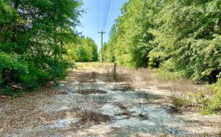 Pictures of Land property located at Lot 1 E/S State Park Road, Windsor, SC 29856 for sales - image #1
