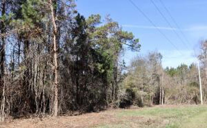 Pictures of Land property located at 00 Spring Branch Road, Harleyville, SC 29448 for sales - image #1