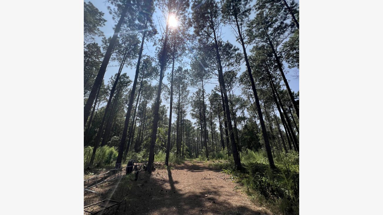 3500 Parks Mill Rd, Buckhead, GA 30625