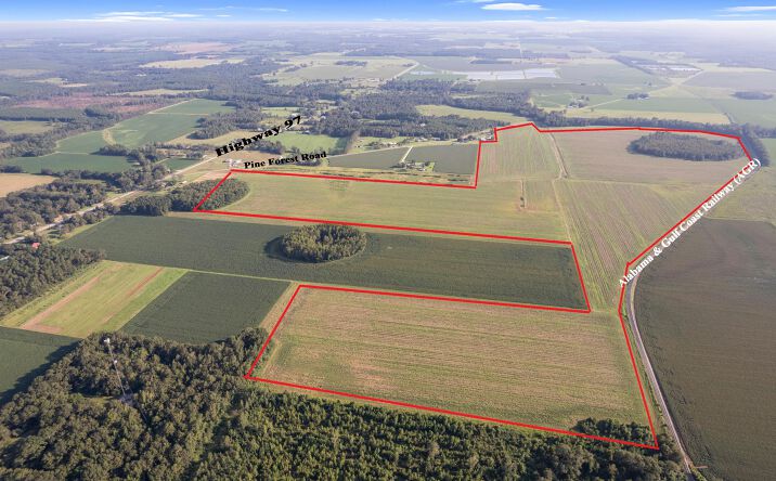 Pictures of Land property located at 5700 Block Pine Forest Road, Walnut Hill, FL 32568 for sales - image #1