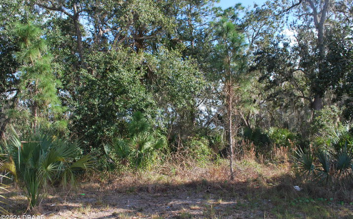 Pictures of Land property located at 0 S Ridgewood Avenue, Edgewater, FL 32141 for sales - image #1