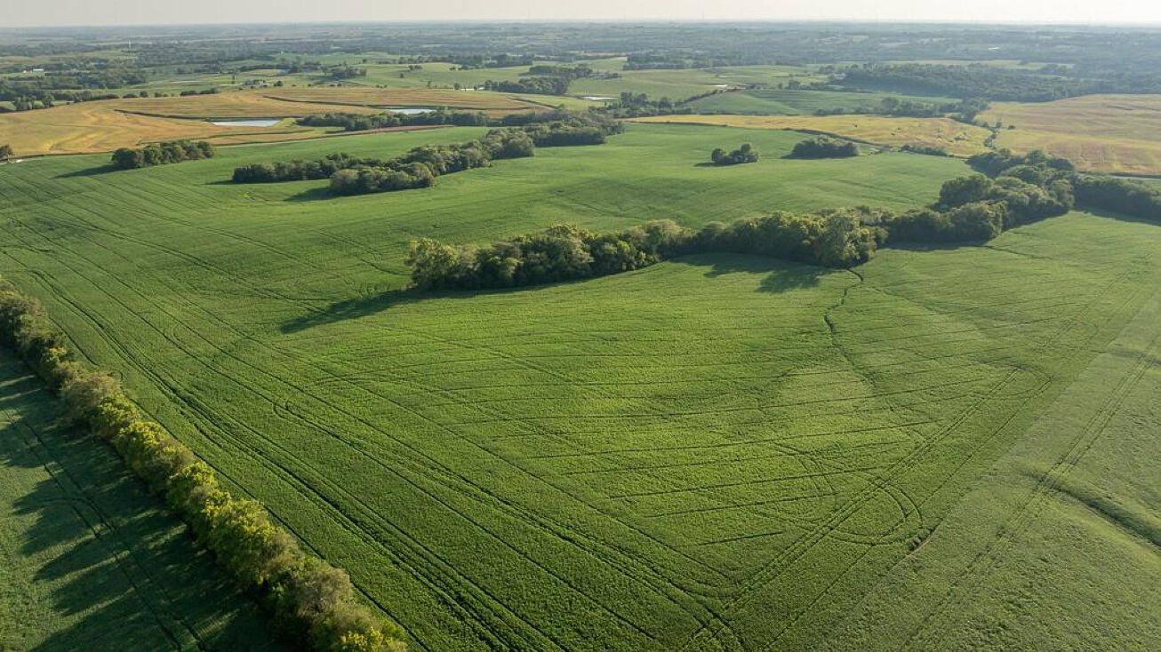 350th Street, Barnard, MO 64423