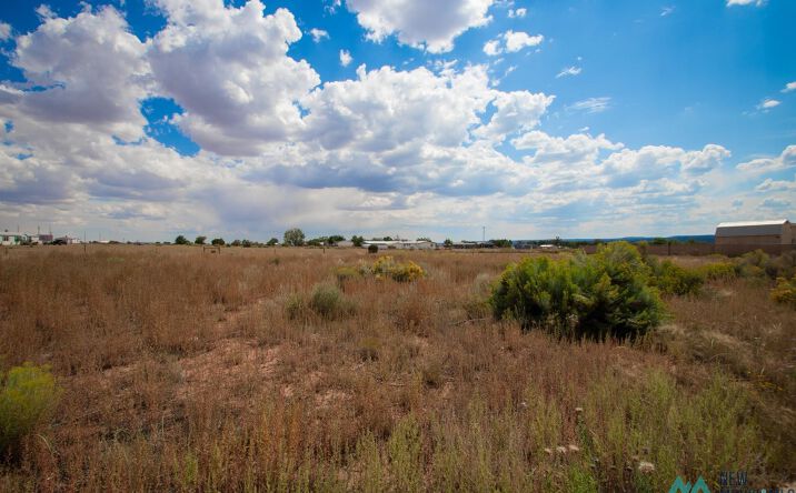 Pictures of Land property located at Lot 12 Calle Bonita Court, Thoreau, NM 87323 for sales - image #1