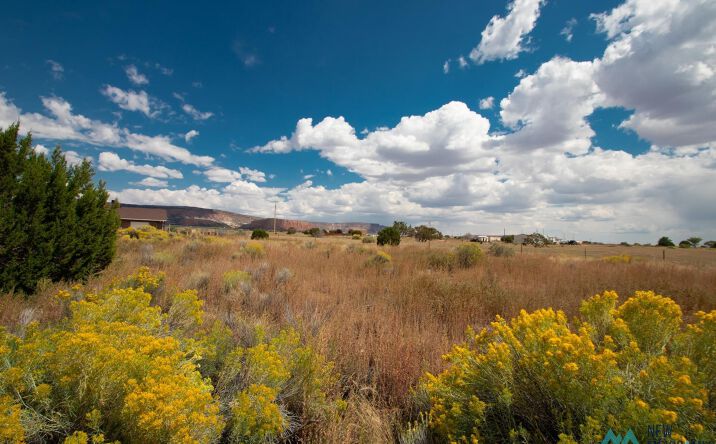Pictures of Land property located at Lot 14 Calle Bonita Court, Thoreau, NM 87323 for sales - image #1