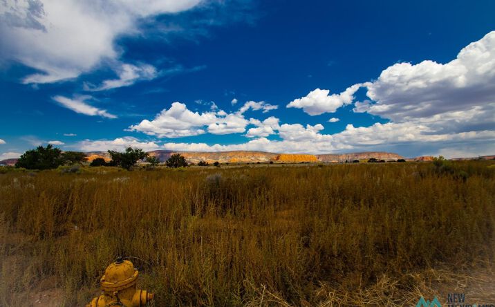 Pictures of Land property located at TBD E Navarre Boulevard, Thoreau, NM 87323 for sales - image #1